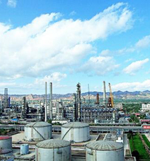 Petrochemical